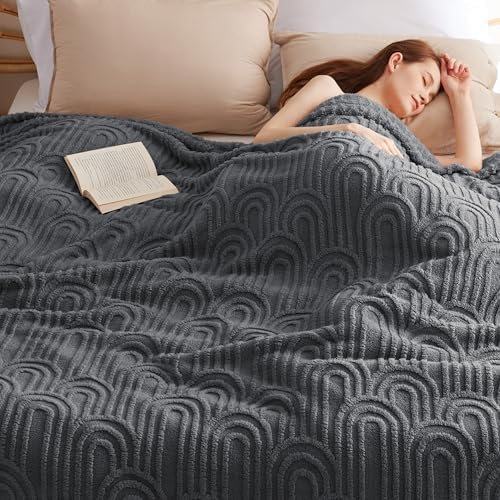 Bedsure Fleece Blanket Queen Size for Bed - Super Soft &amp; Cozy, Fluffy Blankets for Women &amp; Girls, Ideal for Sofa &amp; Couch, Grey, 90x90 Inches